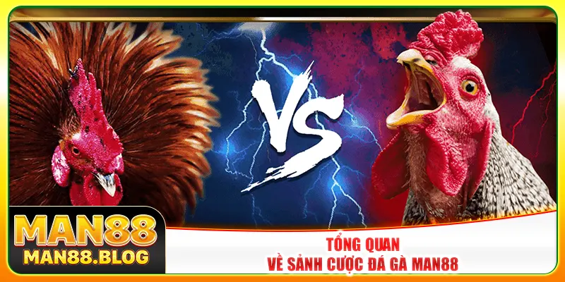 Tổng quan về sảnh cược đá gà Man88