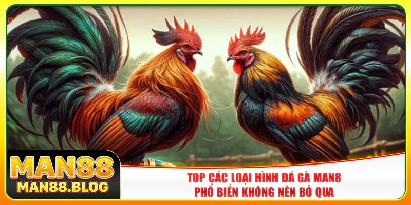 Top các loại hình đá gà Man8 phổ biến không nên bỏ qua